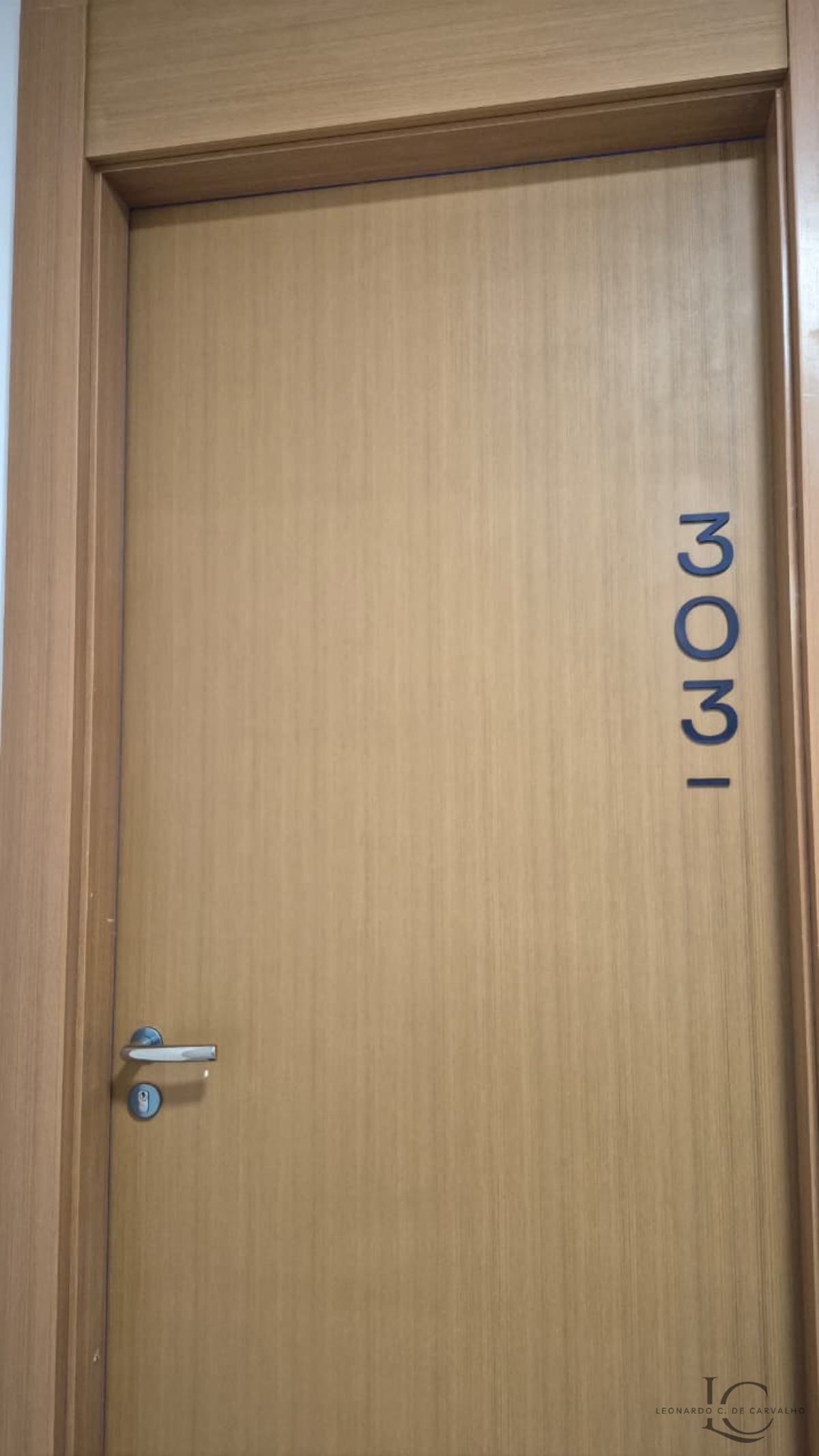 Apartamento, 3 quartos, 240 m² - Foto 14